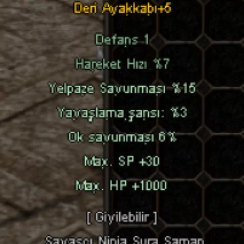  5 ESFUN 1000 HP DERİ AYAKKABI